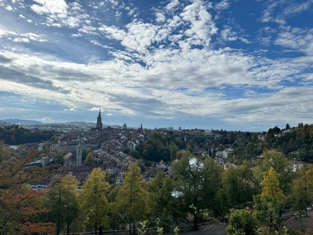 스위스,이탈리아 smart 여행 후기    