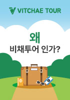 왜 비채투어 인가?