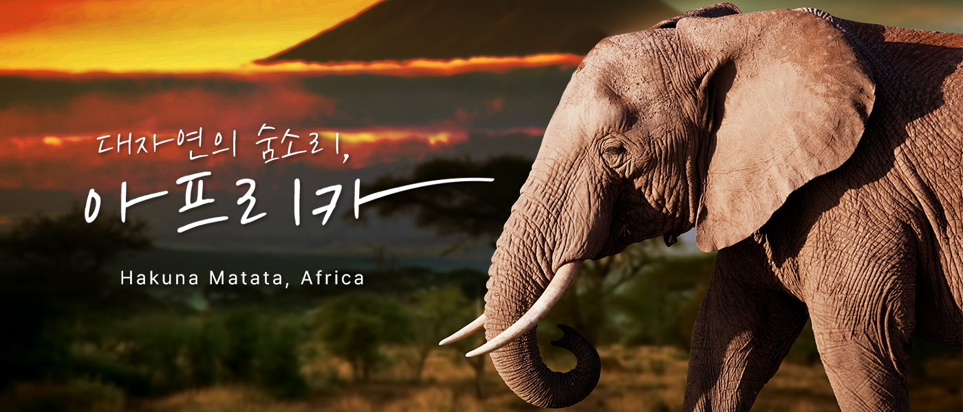 아프리카 11일 - D