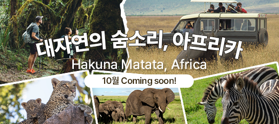 아프리카 여행, Coming Soon!