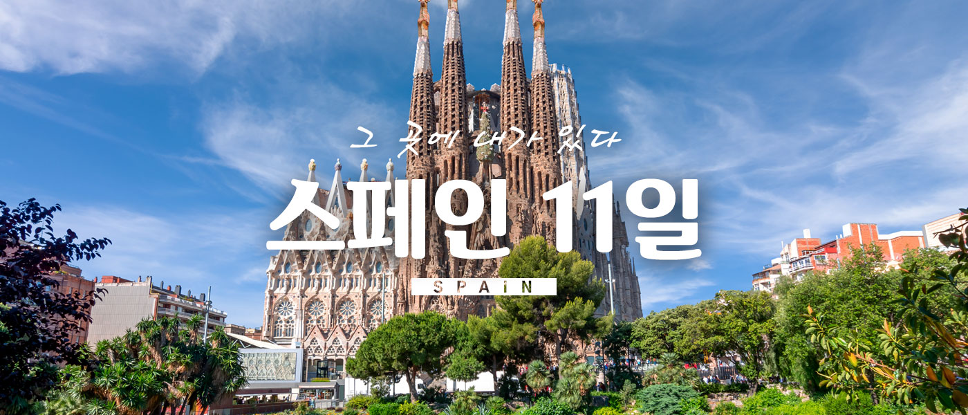 스페인 - D