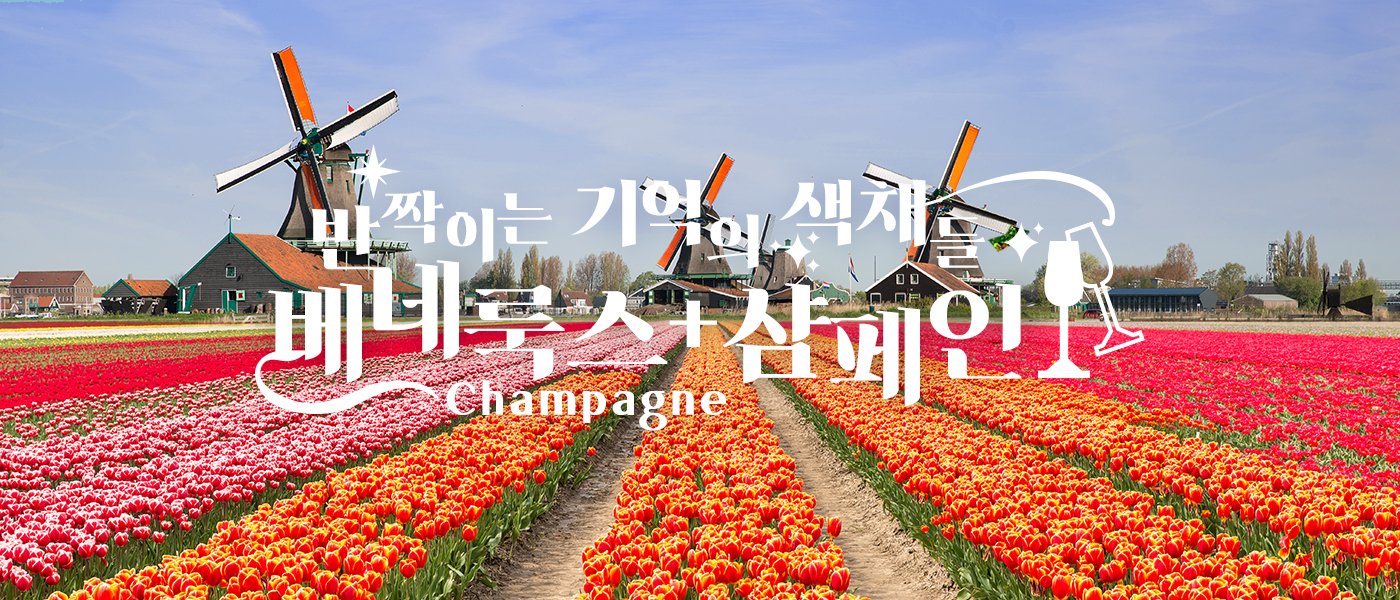 베네룩스 10일 - D